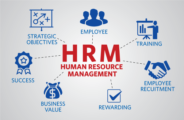 The Role Human Resource Management Hr Leadership Plays In Strategy